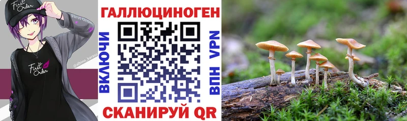 Галлюциногенные грибы Psilocybe сколько стоит Старый Оскол