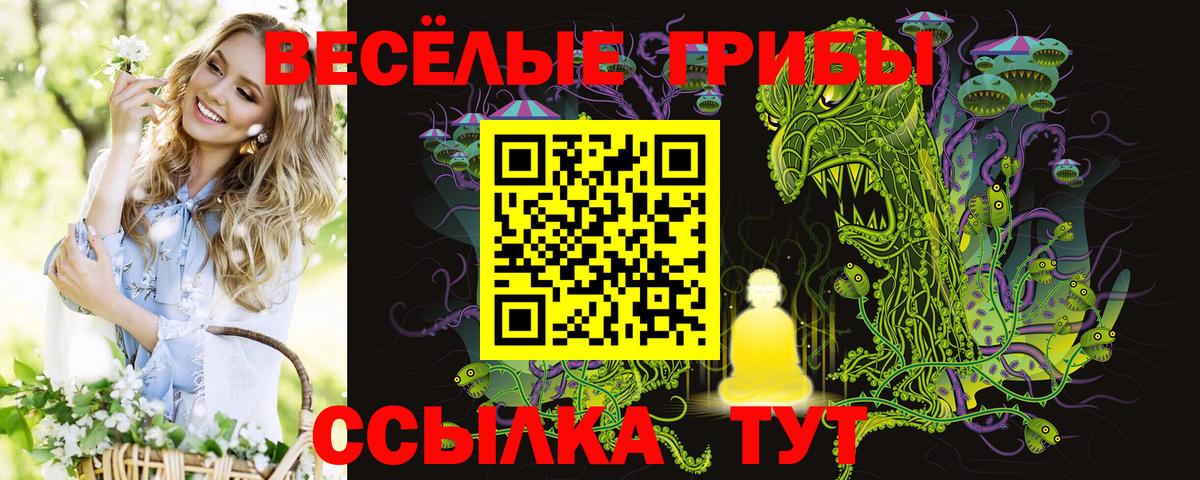 Псилоцибиновые грибы GOLDEN TEACHER  Псилоцибиновые грибы мицелий  Старый Оскол 