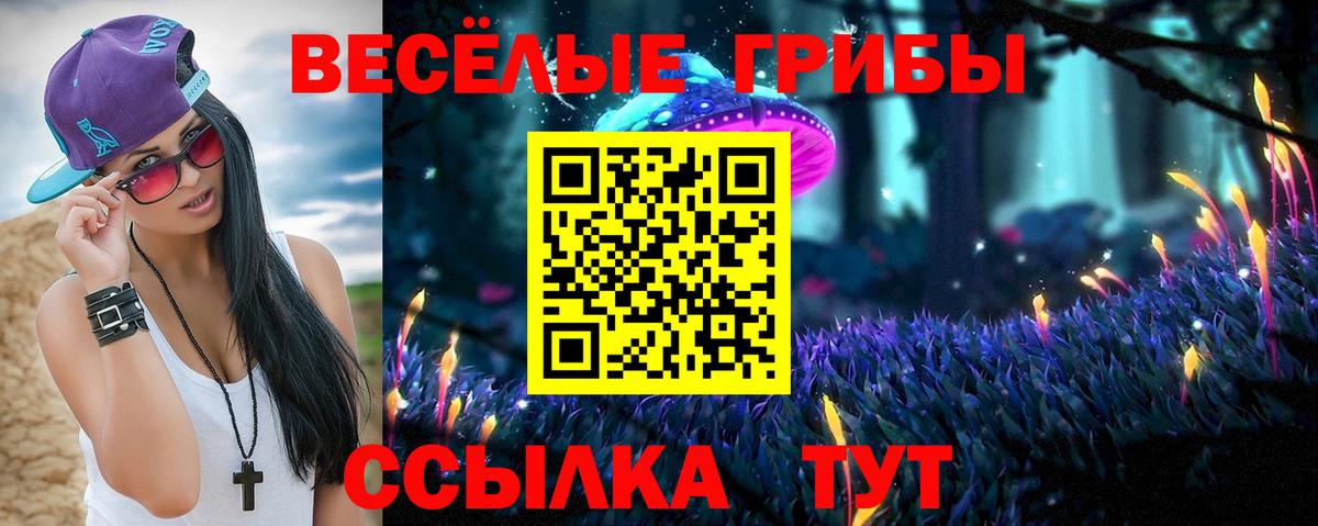 Галлюциногенные грибы Cubensis Старый Оскол