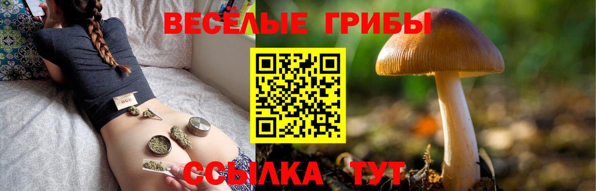 Псилоцибиновые грибы MAGIC MUSHROOMS  Вход с VPN  Старый Оскол 