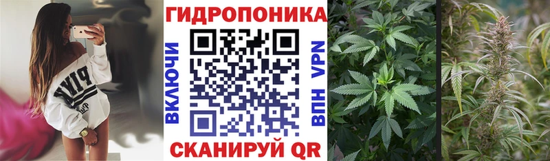 Шишки марихуана Ganja  mega как зайти  Старый Оскол 